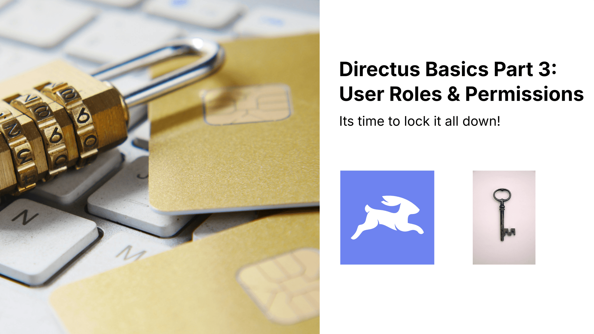 Directus Basics Part 3 — User Roles & Permissions